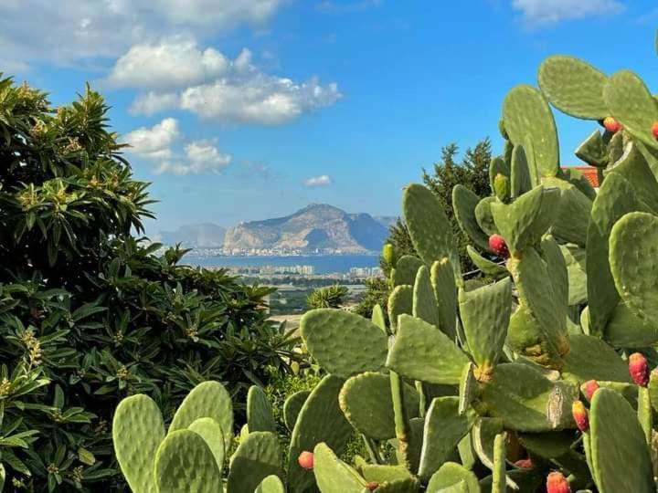Il Siciliano Home Palermo Exterior foto